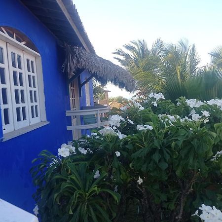Charming Blue House With Kitchen Parking And Garden Villa Canoa Quebrada Exterior photo